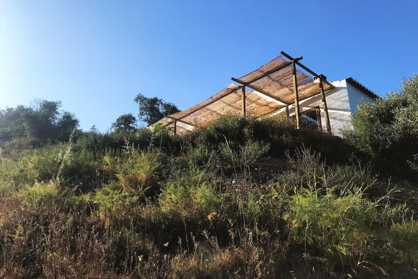 40-ezgifcom-avif-to-jpg-converter